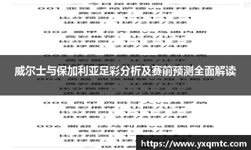 威尔士与保加利亚足彩分析及赛前预测全面解读